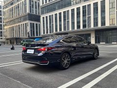 Lexus ES 300h Premium Edition - ფოტო 10