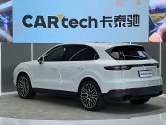 Porsche Cayenne 3.0T Platinum Edition - ფოტო 18