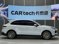 Porsche Cayenne 3.0T Platinum Edition - ფოტო 19