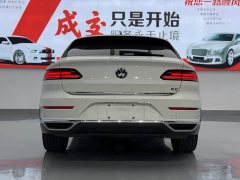 Volkswagen CC Shooting Brake 380TSI Hunting Heart Edition - ფოტო 14