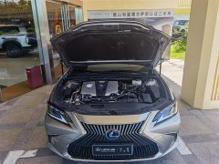 Lexus ES 300h Premium Edition - ფოტო 3