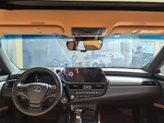 Lexus ES 300h Premium Edition - ფოტო 4