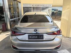 Lexus ES 300h Premium Edition - ფოტო 6