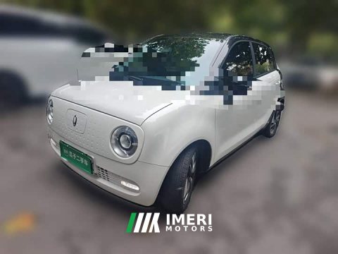 2021 Ora Black Cat 351km Comfort Ternary Lithium - ავტომობილი ჩინეთიდან