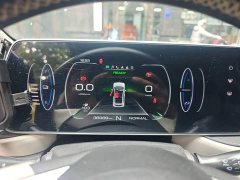 Ora Black Cat 351km Comfort Ternary Lithium - ფოტო 12
