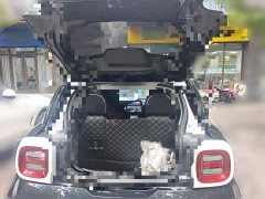 Ora Black Cat 351km Comfort Ternary Lithium - ფოტო 20