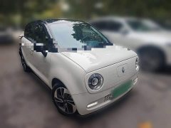 Ora Black Cat 351km Comfort Ternary Lithium - ფოტო 3