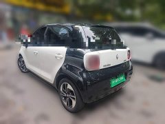 Ora Black Cat 351km Comfort Ternary Lithium - ფოტო 4