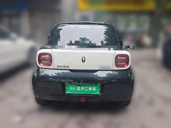 Ora Black Cat 351km Comfort Ternary Lithium - ფოტო 5