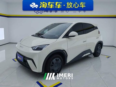 2025 BYD Seagull 305km Vitality Edition - ავტომობილი ჩინეთიდან