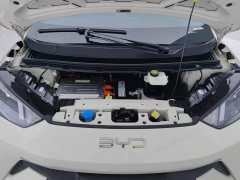 BYD Seagull 305km Vitality Edition - ფოტო 10