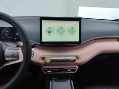 BYD Seagull 305km Vitality Edition - ფოტო 13