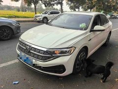 Volkswagen Sagitar 300TSI DSG Excellence Edition - ფოტო 1