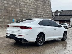 Geely Xingrui 2.0T Diesel Space Edition - ფოტო 6