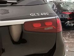Mercedes-Benz Maybach GLS 480 4MATIC Elegance Edition - ფოტო 10