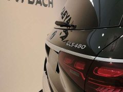 Mercedes-Benz Maybach GLS 480 4MATIC Elegance Edition - ფოტო 11