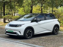 BYD Dolphin 405km Freedom Edition - ფოტო 1