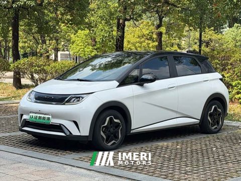 2022 BYD Dolphin 405km Freedom Edition - ავტომობილი ჩინეთიდან