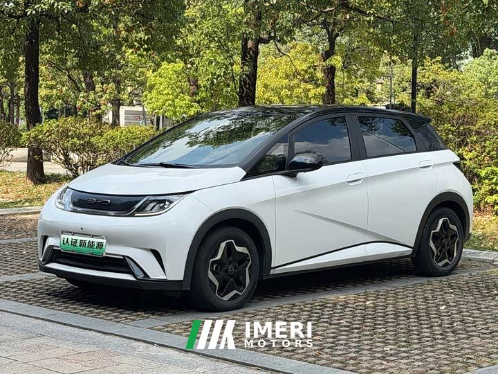 BYD Dolphin 405km Freedom Edition