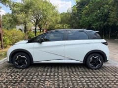 BYD Dolphin 405km Freedom Edition - ფოტო 13