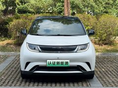 BYD Dolphin 405km Freedom Edition - ფოტო 2
