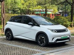 BYD Dolphin 405km Freedom Edition - ფოტო 3