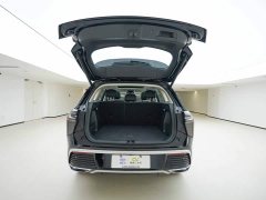 FAW Red Flag HS3 PHEV 117km Dynamic Edition - photo 6