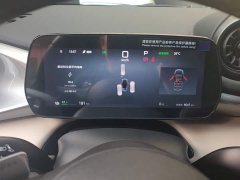 BYD Dolphin Smart Drive 420km Freedom Edition - ფოტო 13