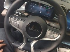 BYD Dolphin Smart Drive 420km Freedom Edition - ფოტო 14
