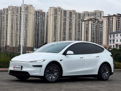 Tesla Model Y L Long Range All-Wheel Drive - ფოტო 1