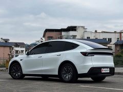 Tesla Model Y L Long Range All-Wheel Drive - ფოტო 13
