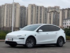 Tesla Model Y L Long Range All-Wheel Drive - ფოტო 15
