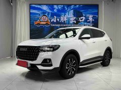 Haval H6 National Trend Edition 1.5T Automatic Urban Version - ფოტო 1