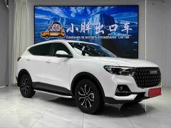 Haval H6 National Trend Edition 1.5T Automatic Urban Version - ფოტო 3
