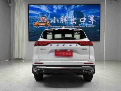 Haval H6 National Trend Edition 1.5T Automatic Urban Version - ფოტო 5
