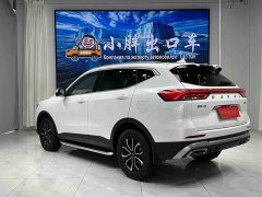 Haval H6 National Trend Edition 1.5T Automatic Urban Version - ფოტო 6
