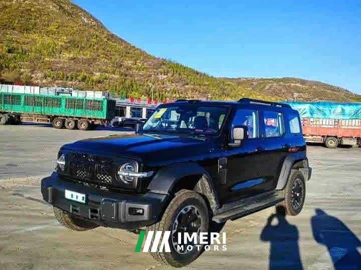 Tank 300L New Energy Tank 300L Hi4-Z - ავტომობილი ჩინეთიდან