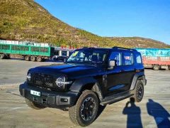 Tank 300L New Energy Tank 300L Hi4-Z - ფოტო 1