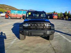 Tank 300L New Energy Tank 300L Hi4-Z - ფოტო 2