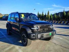 Tank 300L New Energy Tank 300L Hi4-Z - ფოტო 3