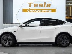Tesla Model Y Rear-Wheel Drive - ფოტო 3