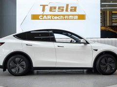 Tesla Model Y Rear-Wheel Drive - ფოტო 4