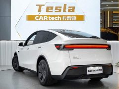 Tesla Model Y Rear-Wheel Drive - ფოტო 6