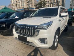 Haval H9 2.0T Gasoline AWD Luxury 7-Seater - ფოტო 1