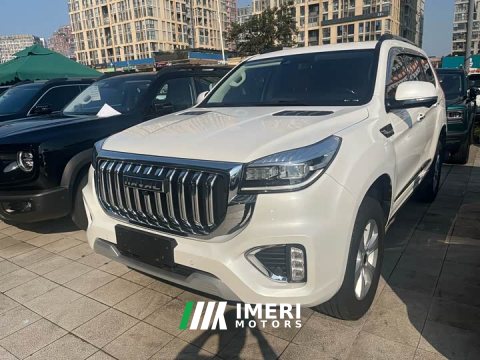 2022 Haval H9 2.0T Gasoline AWD Luxury 7-Seater - ავტომობილი ჩინეთიდან