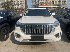 Haval H9 2.0T Gasoline AWD Luxury 7-Seater - ფოტო 2