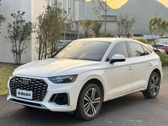 Audi Q5L Sportback 40 TFSI Luxury - ფოტო 1