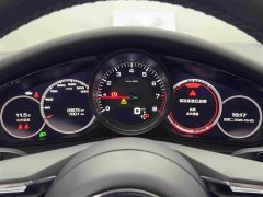Porsche Panamera 4S 2.9T - ფოტო 19