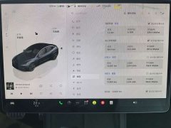 Tesla Model 3 High Performance All-Wheel Drive - ფოტო 14