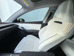 Tesla Model 3 High Performance All-Wheel Drive - ფოტო 17